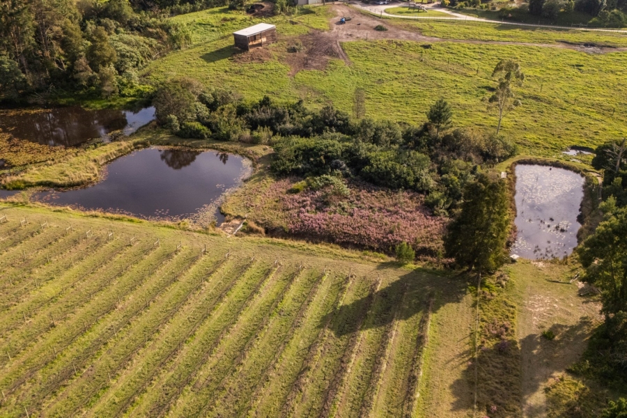 Commercial Property for Sale in Plettenberg Bay Rural Western Cape